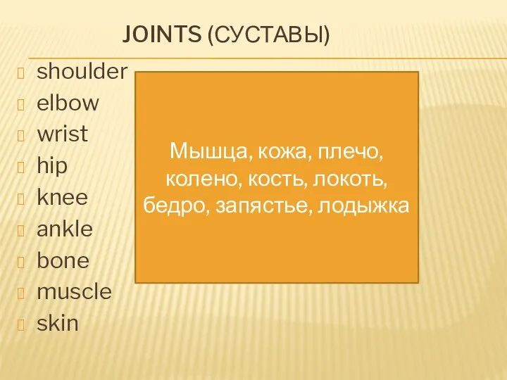 Joints (суставы) shoulder elbow wrist hip knee ankle bone muscle skin Мышца, кожа,