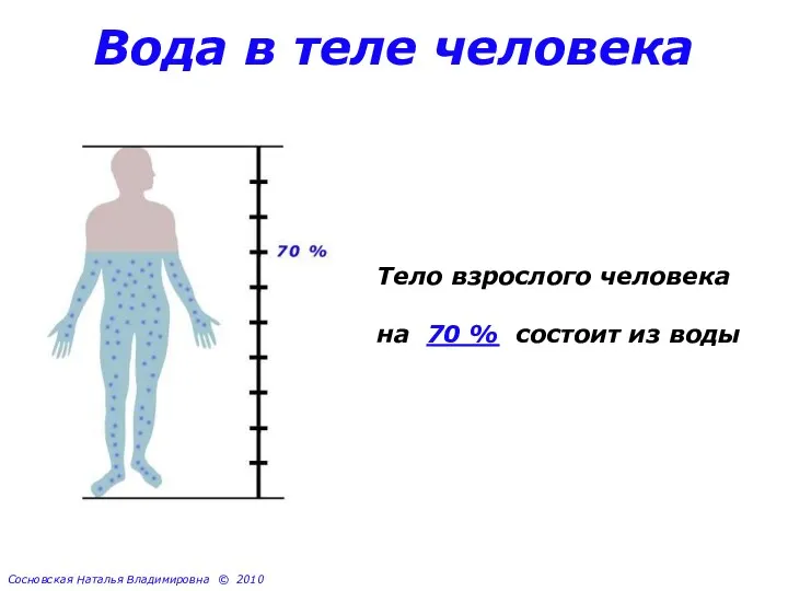 Вода в теле человека Тело взрослого человека на 70 %