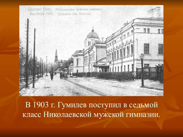 В 1903 г. Гумилев поступил в седьмой класс Hиколаевской мужской гимназии.