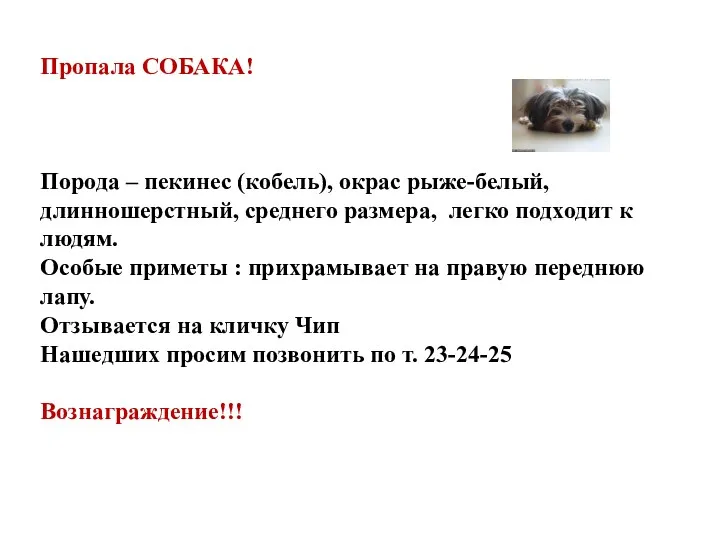 Пропала СОБАКА! Порода – пекинес (кобель), окрас рыже-белый, длинношерстный, среднего