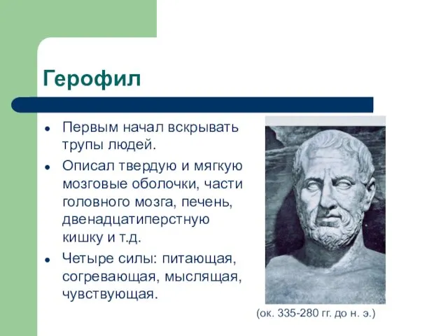 Герофил Первым начал вскрывать трупы людей. Описал твердую и мягкую