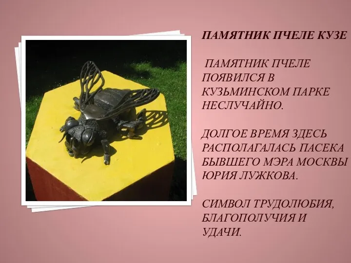 Памятник пчеле Кузе Памятник пчеле появился в Кузьминском парке неслучайно. Долгое время здесь