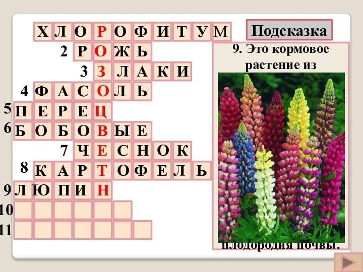 9. Это кормовое растение из семейства бобовые на лугу заметны из дали. Оно