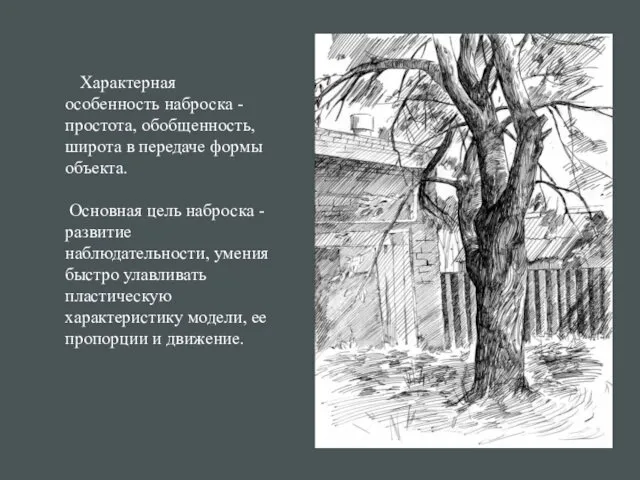 Характерная особенность наброска - простота, обобщенность, широта в передаче формы