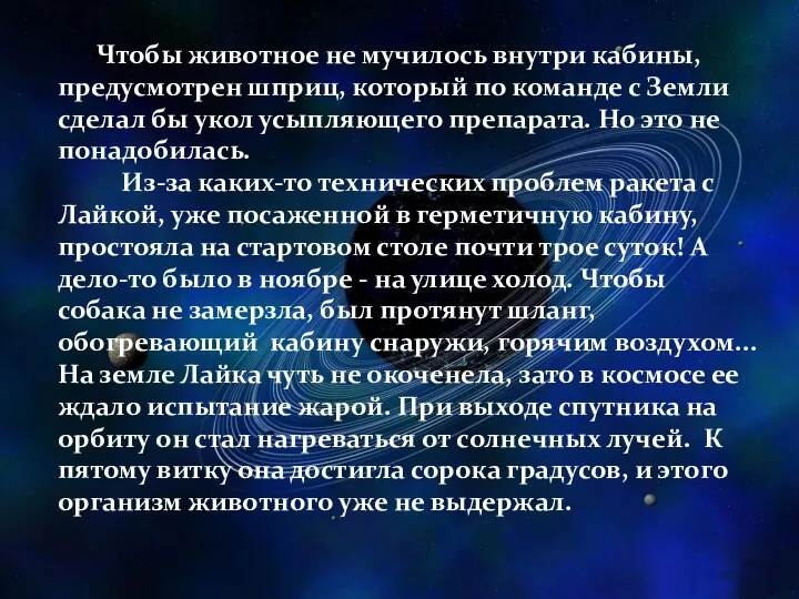 Чтобы животное не мучилось внутри кабины, предусмотрен шприц, который по