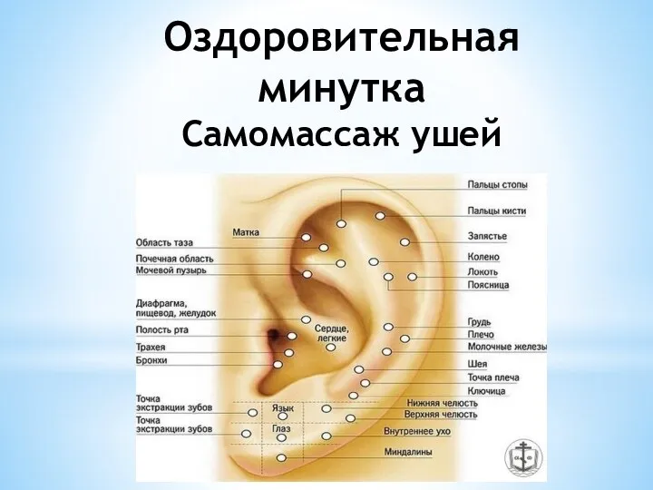 Оздоровительная минутка Самомассаж ушей