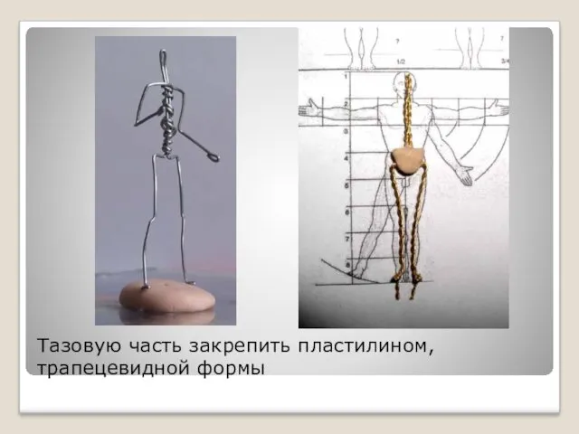 Тазовую часть закрепить пластилином, трапецевидной формы