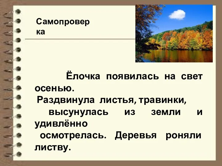 Самопроверка Ёлочка появилась на свет осенью. Раздвинула листья, травинки, высунулась