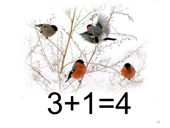 () 3+1=4
