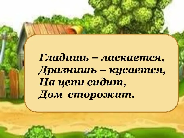 Гладишь – ласкается, Дразнишь – кусается, На цепи сидит, Дом сторожит.