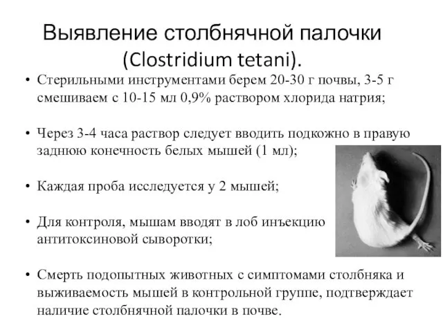 Выявление столбнячной палочки (Clostridium tetani). Стерильными инструментами берем 20-30 г