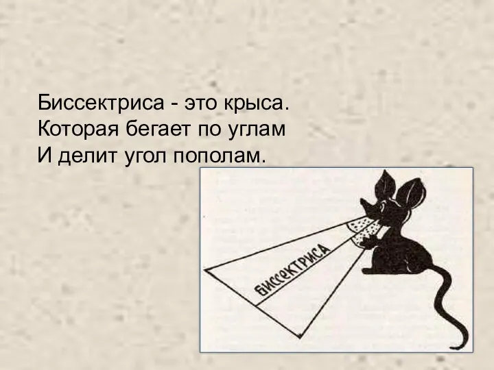 Биссектриса - это крыса. Которая бегает по углам И делит угол пополам.