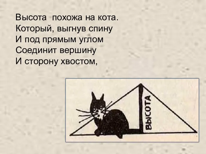 Высота похожа на кота. Который, выгнув спину И под прямым углом Соединит вершину И сторону хвостом,