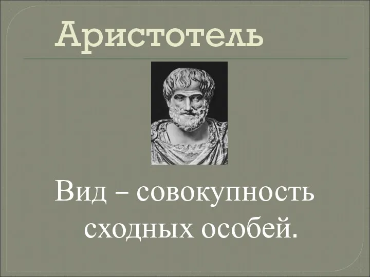 Аристотель Вид – совокупность сходных особей.