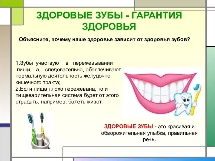 1.Зубы участвуют в пережевывании пищи, а, следовательно, обеспечивают нормальную деятельность желудочно-кишечного тракта; 2.Если