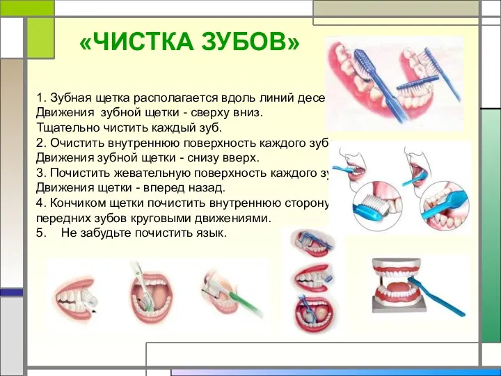 1. Зубная щетка располагается вдоль линий десен. Движения зубной щетки - сверху вниз.