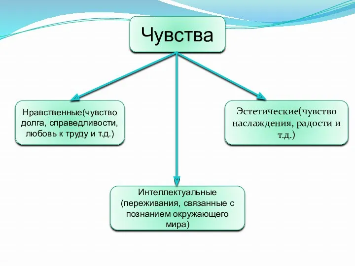 Чувства Нравственные(чувство долга, справедливости, любовь к труду и т.д.) Эстетические(чувство