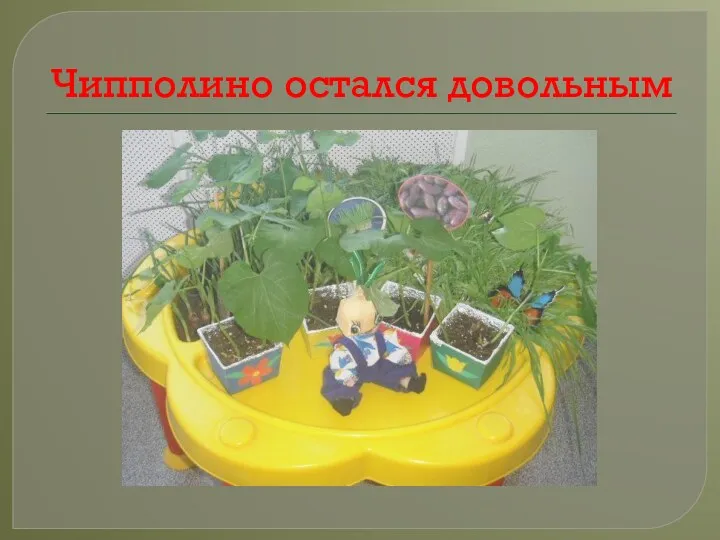 Чипполино остался довольным