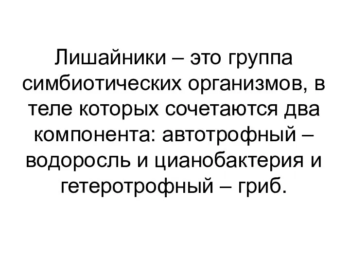 Лишайники – это группа симбиотических организмов, в теле которых сочетаются