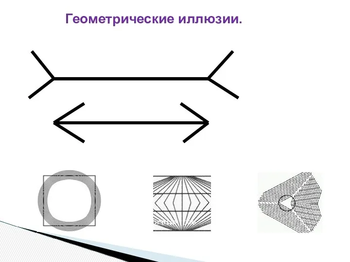 Геометрические иллюзии.