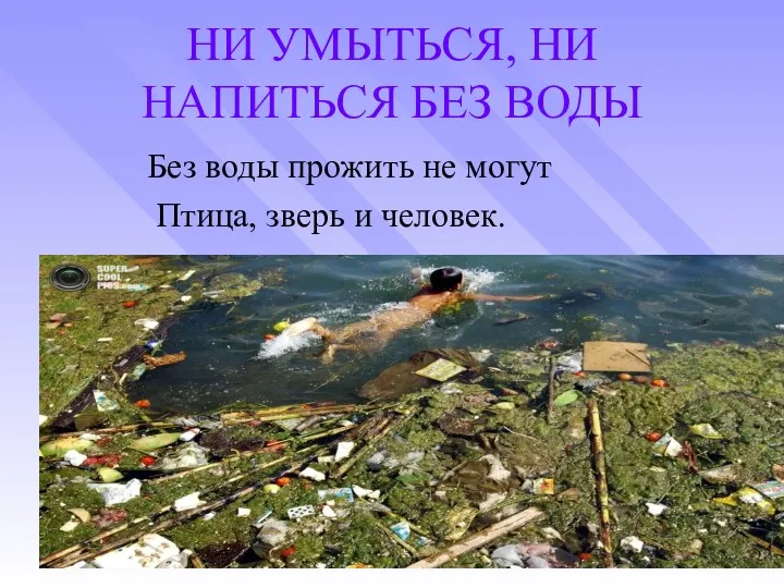 НИ УМЫТЬСЯ, НИ НАПИТЬСЯ БЕЗ ВОДЫ Без воды прожить не могут Птица, зверь и человек.