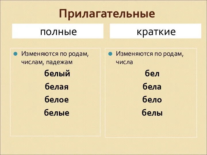 Прилагательные полные краткие Изменяются по родам, числам, падежам белый белая