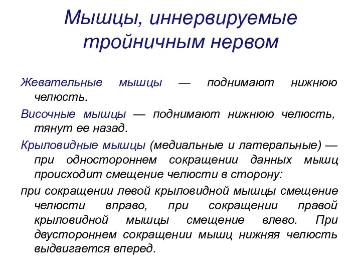 Мышцы, иннервируемые тройничным нервом Жевательные мышцы — поднимают нижнюю челюсть.