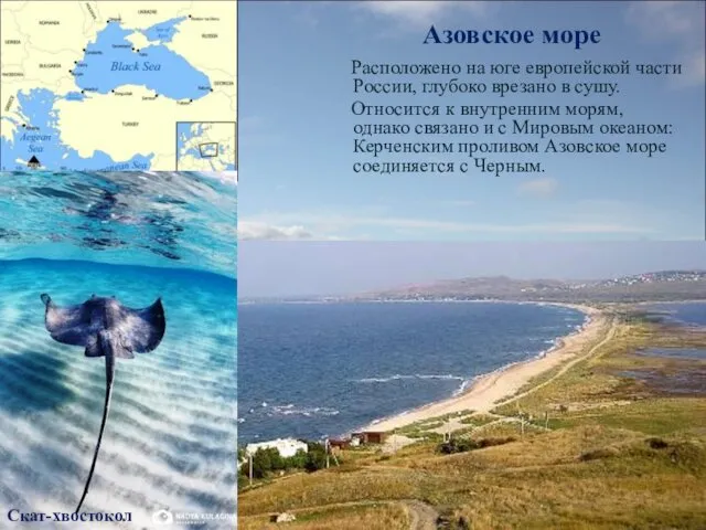 Азовское море Расположено на юге европейской части России, глубоко врезано