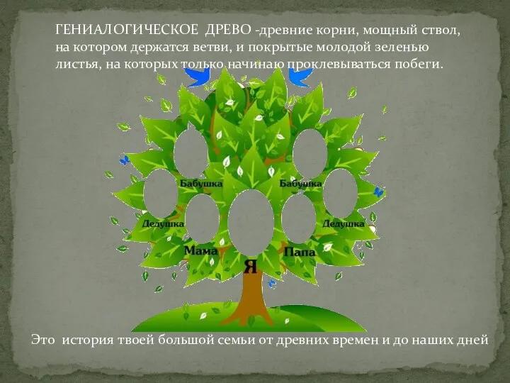 ГЕНИАЛОГИЧЕСКОЕ ДРЕВО -древние корни, мощный ствол, на котором держатся ветви,