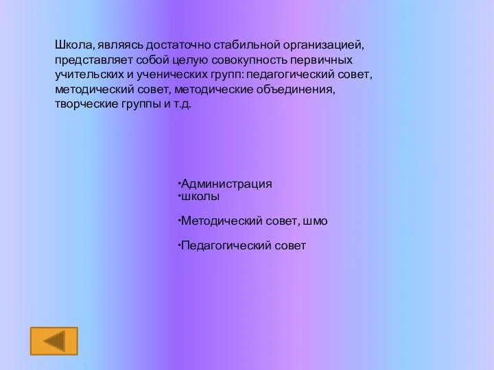 Школа, являясь достаточно стабильной организацией, представляет собой целую совокупность первичных учительских и ученических