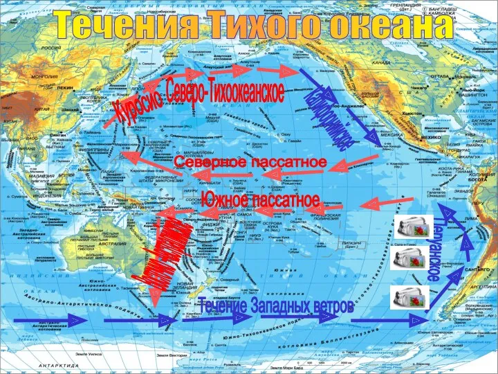 Течения Тихого океана Куросио Северо-Тихоокеанское Калифорнийское Северное пассатное Южное пассатное Восточно -Австралийское Течение Западных ветров Перуанское