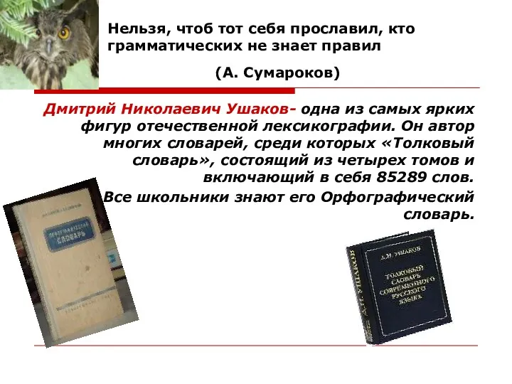 Нельзя, чтоб тот себя прославил, кто грамматических не знает правил