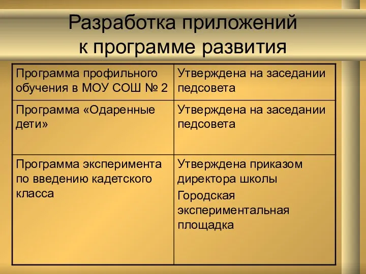 Разработка приложений к программе развития