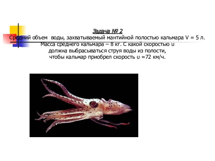 Задача № 2 Средний объем воды, захватываемый мантийной полостью кальмара V = 5