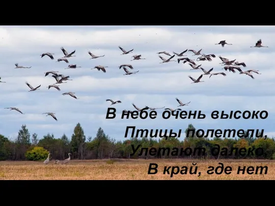 В небе очень высоко Птицы полетели, Улетают далеко, В край, где нет метели.