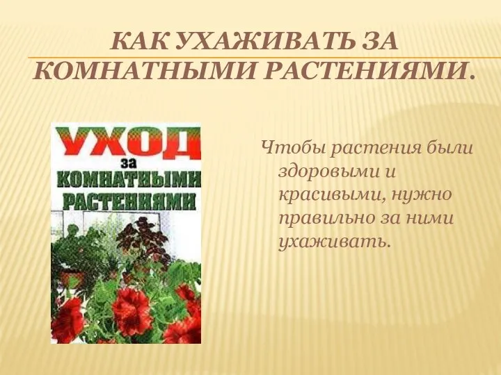 КАК УХАЖИВАТЬ ЗА КОМНАТНЫМИ РАСТЕНИЯМИ. Чтобы растения были здоровыми и красивыми, нужно правильно за ними ухаживать.