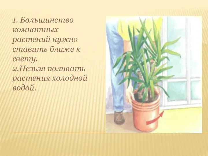 1. Большинство комнатных растений нужно ставить ближе к свету. 2.Незьзя поливать растения холодной водой.