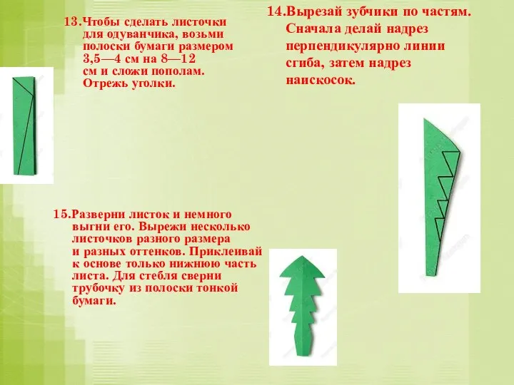 13.Чтобы сделать листочки для одуванчика, возьми полоски бумаги размером 3,5—4