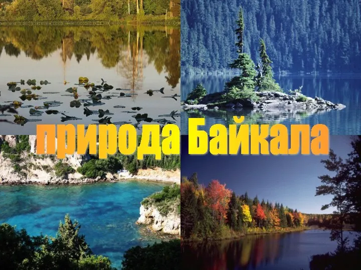 природа Байкала