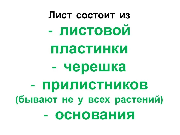 Лист состоит из - листовой пластинки - черешка - прилистников