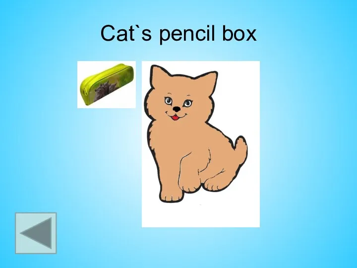 Cat`s pencil box