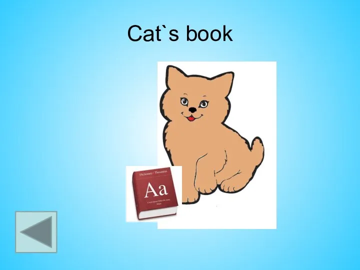 Cat`s book