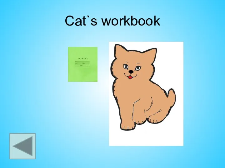 Cat`s workbook