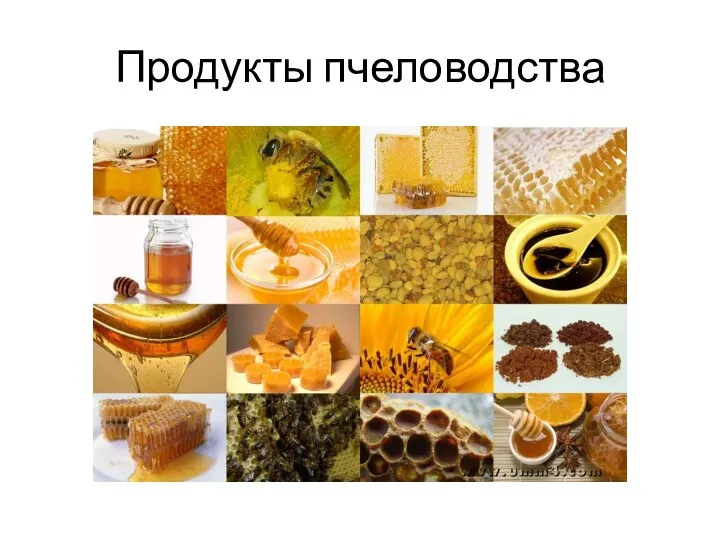 Продукты пчеловодства