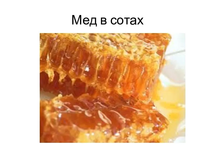 Мед в сотах