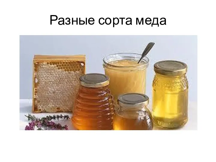 Разные сорта меда