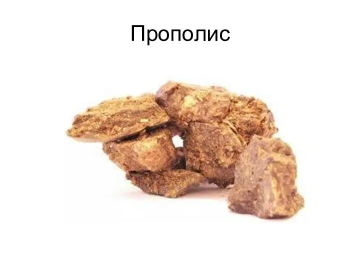 Прополис