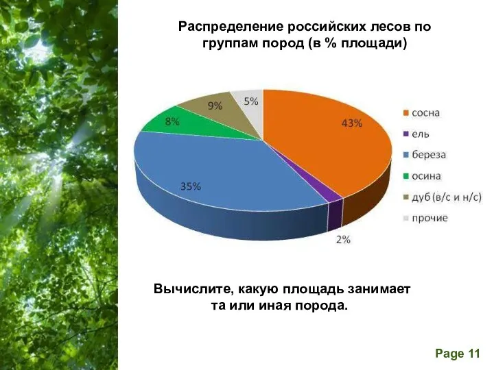 Распределение российских лесов по группам пород (в % площади) Вычислите, какую площадь занимает