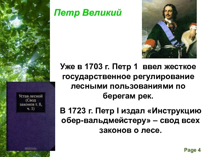 Петр Великий Уже в 1703 г. Петр 1 ввел жесткое государственное регулирование лесными