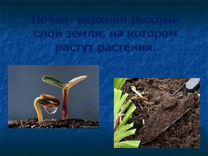 Почва- верхний рыхлый слой земли, на котором растут растения.